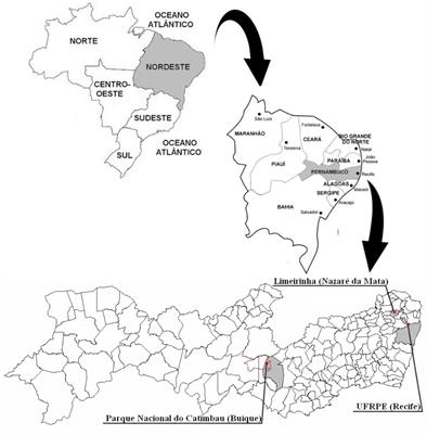 The Influence of the Evolutionary Past on the Mind: An Analysis of the Preference for Landscapes in the Human Species